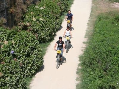 Location de vélos électriques dans la région du Minho, entre Porto et Vigo