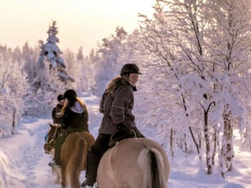 Expérience d'équitation hivernale près de Jotunheimen à partir d'Oslo