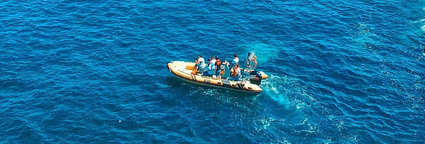 Balade en bateau à moteur à l'estuaire du Masma