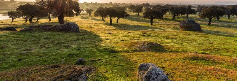 Balade en 4x4 dans la dehesa de Cáceres