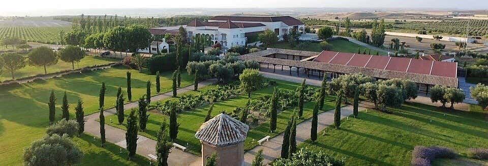 Billet Visite des caves et vignobles de la Casa del Valle