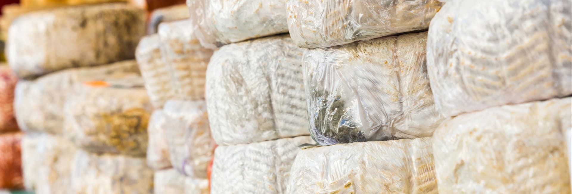 Visite d'une fromagerie + Atelier de fabrication de fromage de chèvre