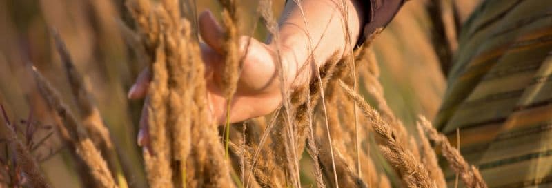 Visite à la découverte de la bière à Curitiba
