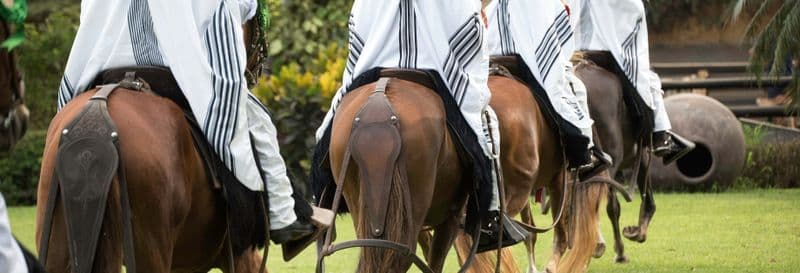 Visite de Pachacamac + Spectacle de chevaux péruviens
