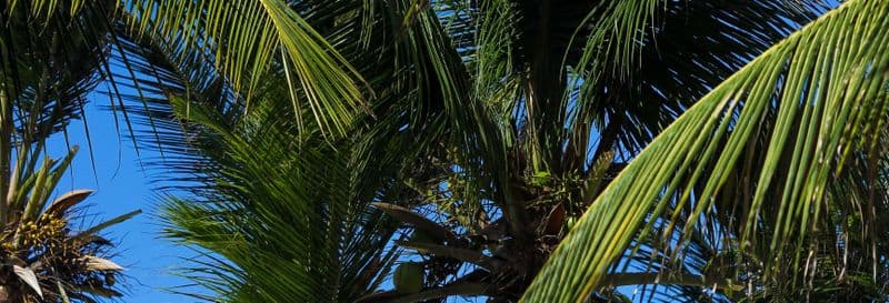 Transfert à Atins en bateau à moteur