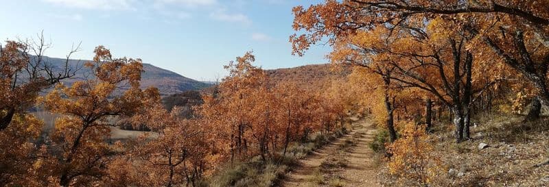 Randonnée à travers Quejigares de Barriopedro et Brihuega