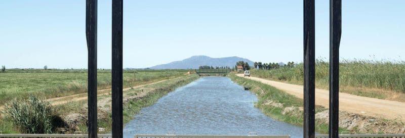 Observation d'oiseaux dans le delta de l'Ebre