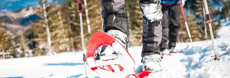 Balade en raquettes à neige dans les forêts de Tallinn