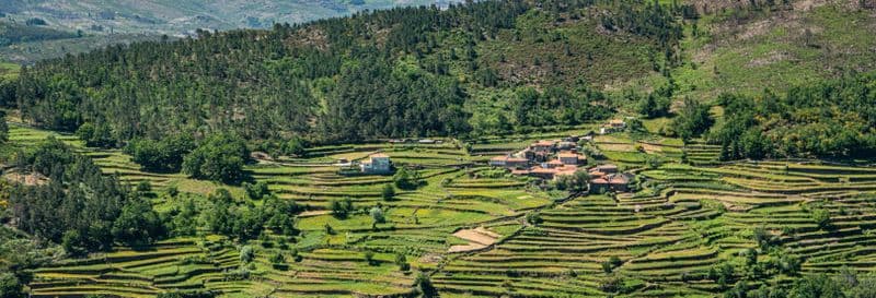 Randonnée à Sistelo