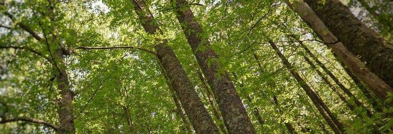 Randonnée dans la vallée de l'Ambroz