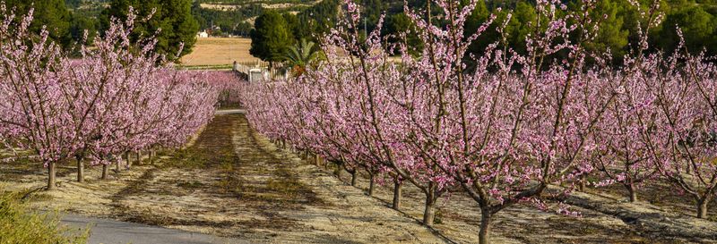 Visite à la découverte de la pêche à Cieza