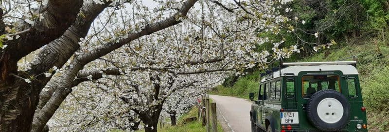Balade en 4x4 dans la Gorge des enfers et à Los Pilones