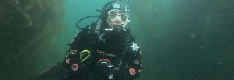 Plongée dans le Canal de Beagle