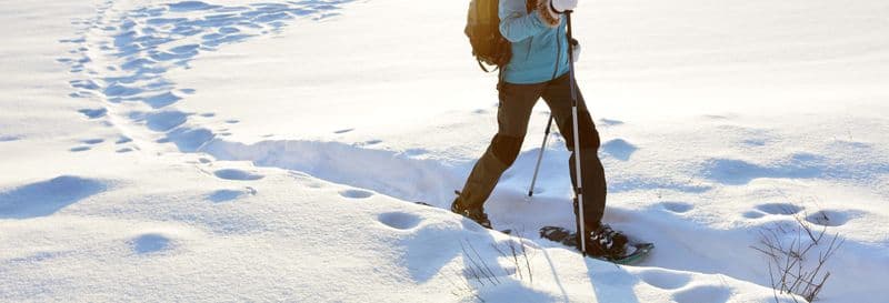 Balade en raquettes à neige à Fuentes de Invierno