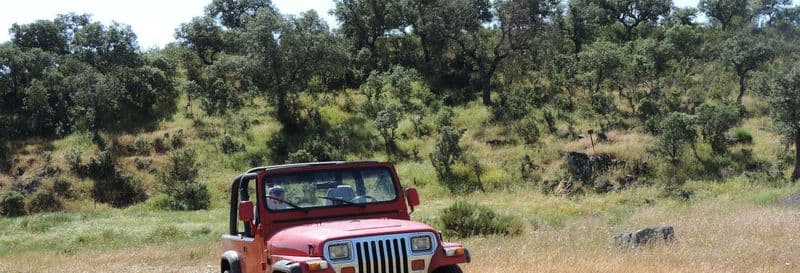 Balade en 4x4 dans la Sierra de San Pedro