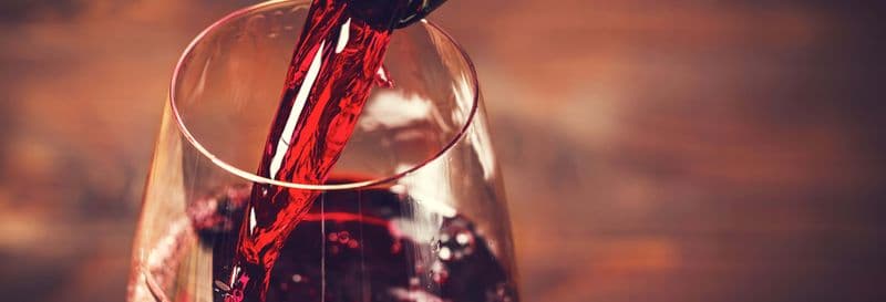 Visite du domaine vinicole Casa das Talhas