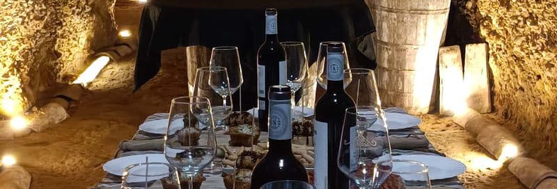 Visite des caves à vin Dorretxe + Dégustation d'huile d'olive