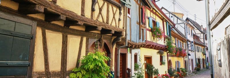 Visite dans Eguisheim et Turckheim + Dégustation de vins