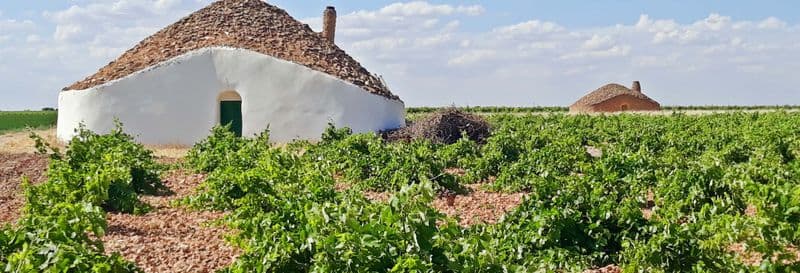 Visite sur le thème du vin à Tomelloso