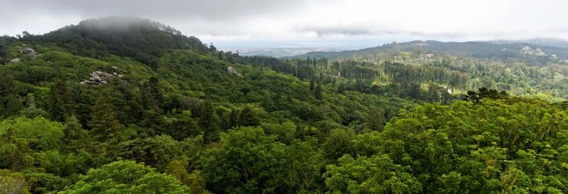 Randonnée au Parc Naturel Sintra-Cascais