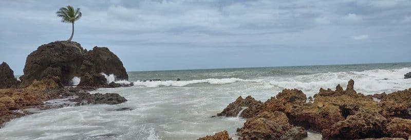 Balade en buggy sur la côte sud de Paraíba