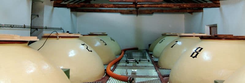 Visite de la cave à vin Campos de Dulcinea