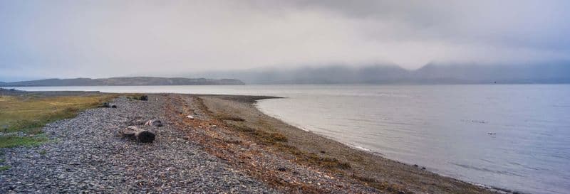 Route du Crabe + Observation de pingouins sur l'île Martillo