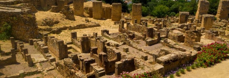 Visite de Tunis, Carthage et Sidi Bou Saïd pour croisiéristes