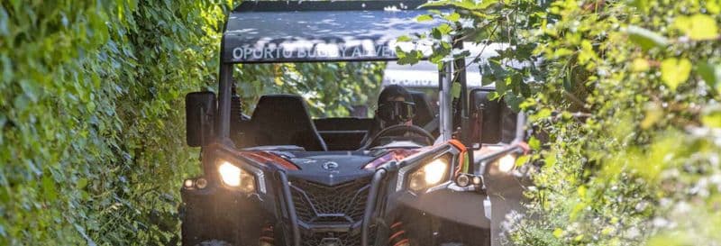 Balade en buggy à Porto