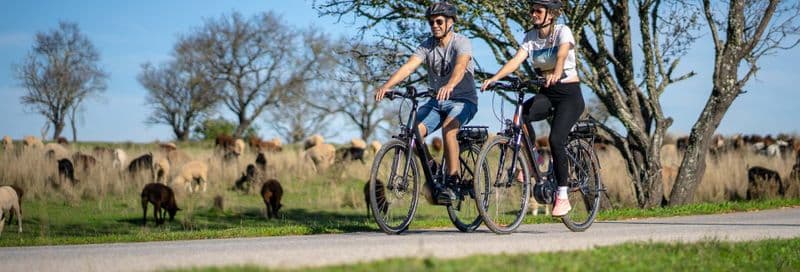 Visite dans Albufeira en vélo électrique