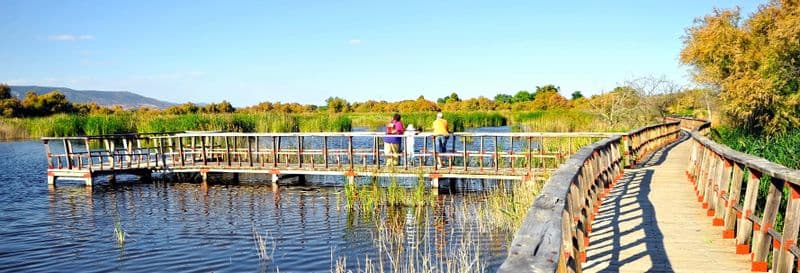 Randonnée aux Tablas de Daimiel