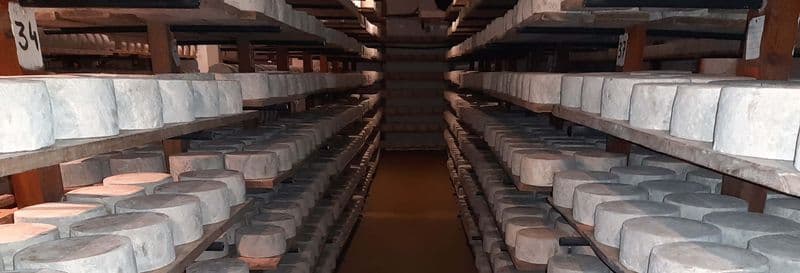 Visite de la fromagerie Campoveja + Atelier de fabrication de fromage