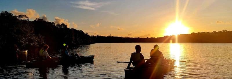 Excursion en kayak au coucher du soleil à travers les mangroves de l'île de Boipeba
