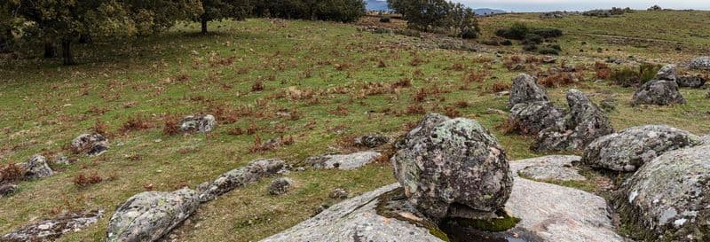 Randonnée dans la forêt vettone de Cabezabellosa