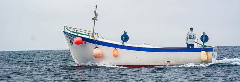 Pêche à Rabo de Peixe