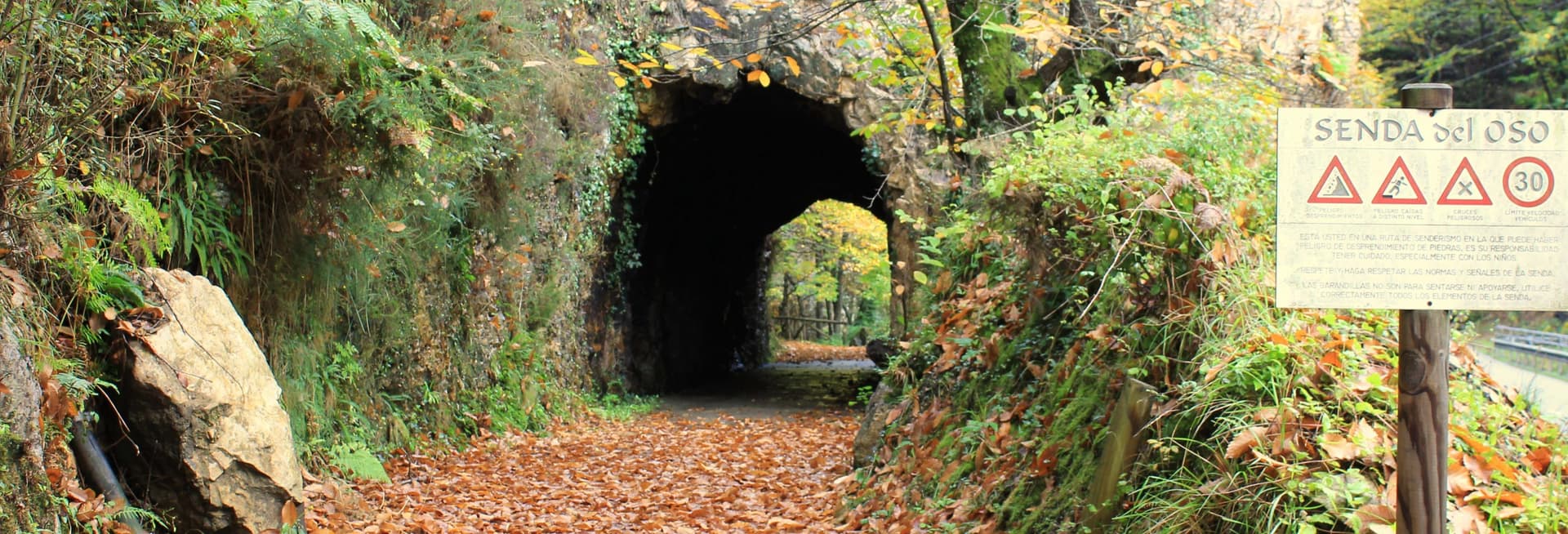 Billet Balade à vélo à la Senda del Oso