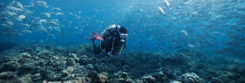 Baptême de plongée sur l'île de Faial