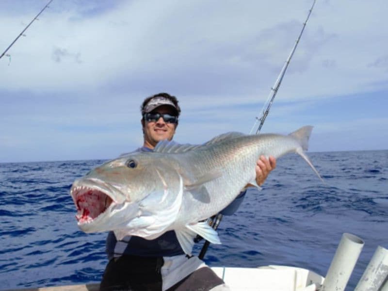 Sortie pêche au gros en bateau à La Réunion