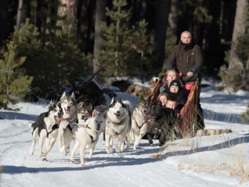 Baptême en traîneau à chiens à Matemale (66)