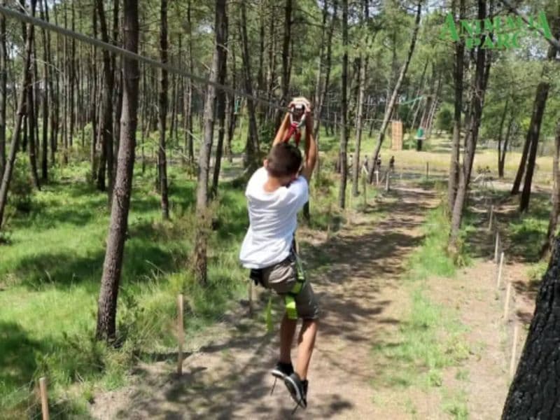 Accrobranche à Animalia Parc à Naujac-sur-Mer (33)