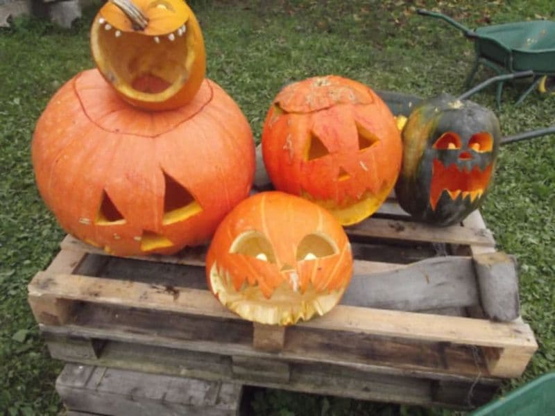 Sculpture de citrouille à la Cueillette de l'Aragnon (64)