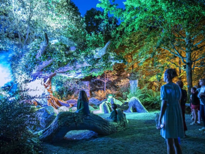 Billet pour Terra Botanica (49)