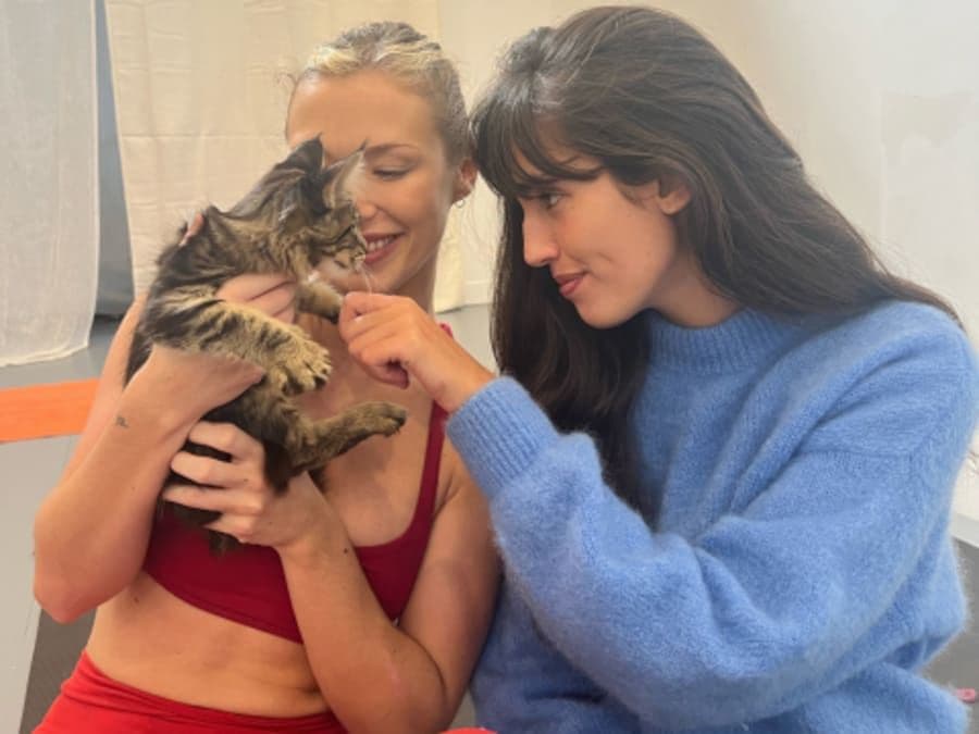 Kitten yoga : Yoga avec des chatons à Paris 3ème