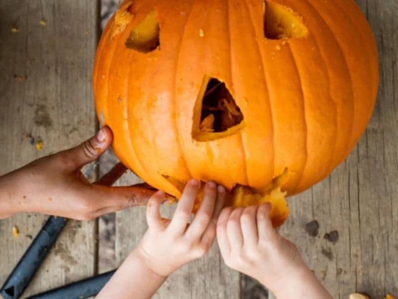Billet Atelier citrouille pour Halloween à la Cueillette de Férin (59)