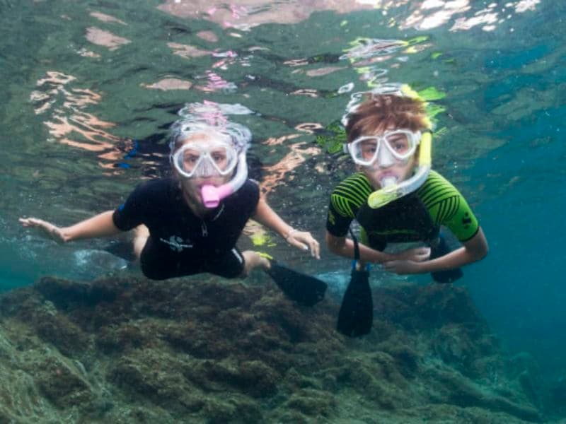 Snorkeling à Cerbère (66)