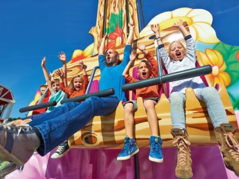 Billet pour le Papéa Parc  (72)