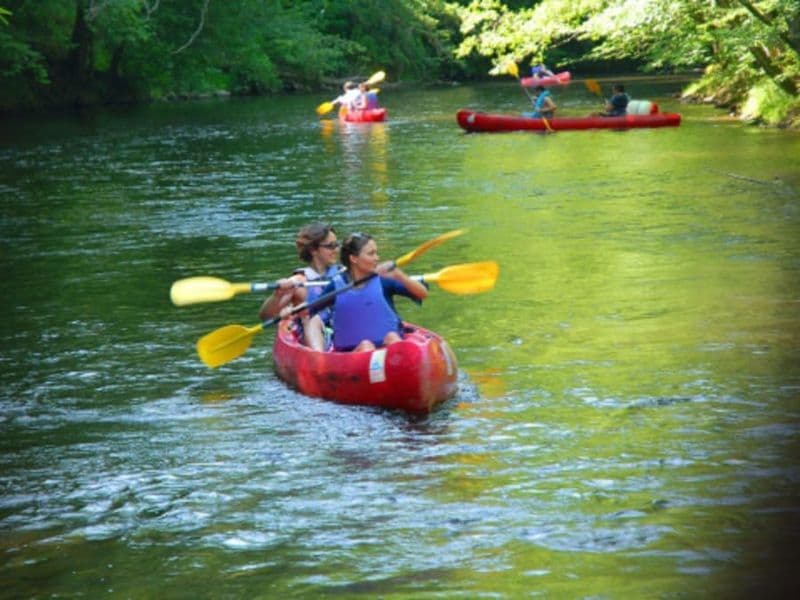 Location de Canoë à Saint-Père : balade 8 km sur la Basse-Cure