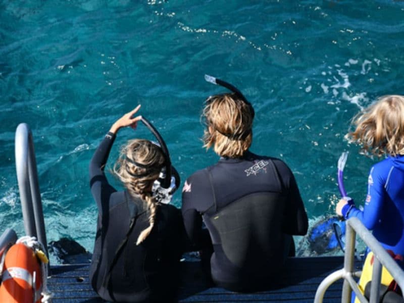 Snorkeling en bateau à Argelès-sur-Mer (66)