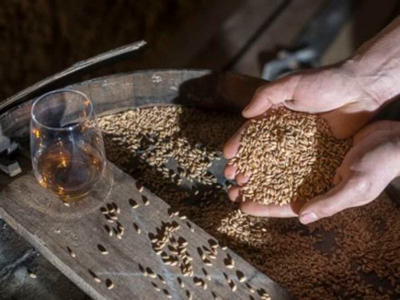 Atelier assemblage de whisky au Château du Barroux (84)