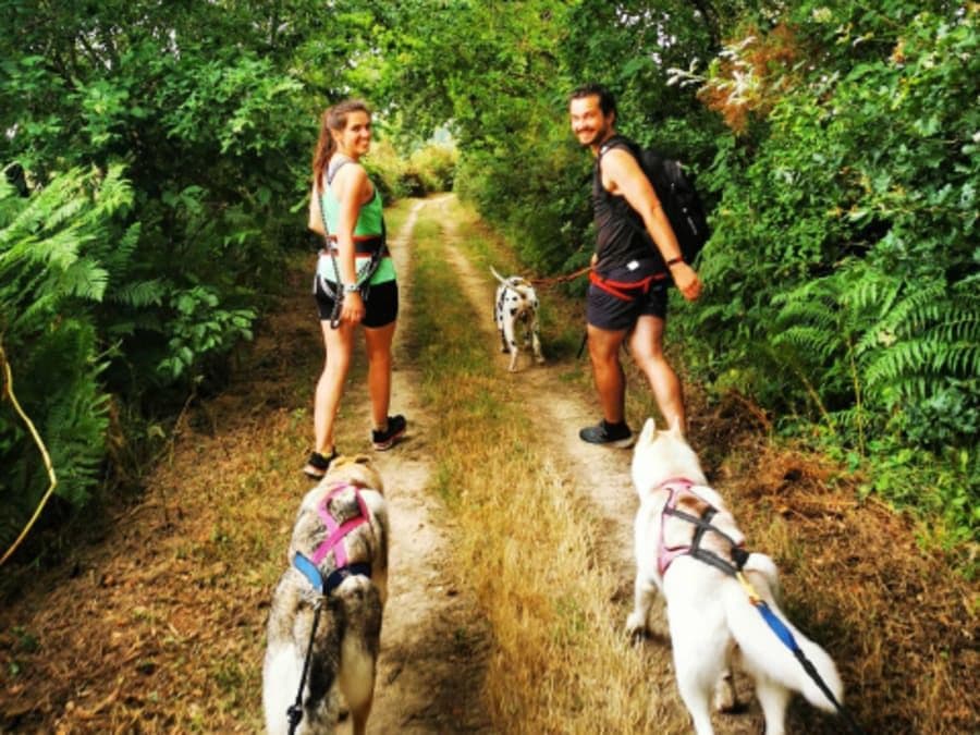 Cani-rando à la Ferrière (85)